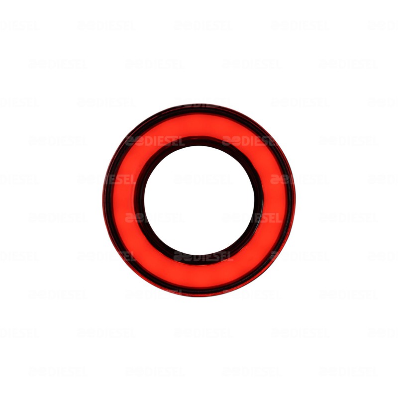 PLAFON 10/30V LED NEON ROJO DONA