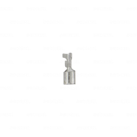 TERMINAL ENCH HEMBRA C/SEG 0-0155013-2