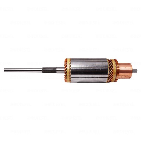ARMADURA 24V 42MT 1988435