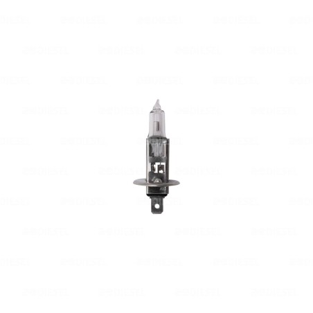 FOCO H1 12V 100W TRIFA