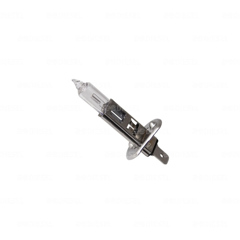 FOCO H1 12V 100W TRIFA