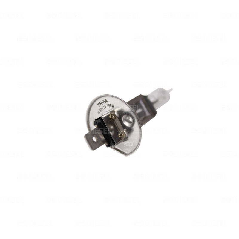 FOCO H1 12V 100W TRIFA