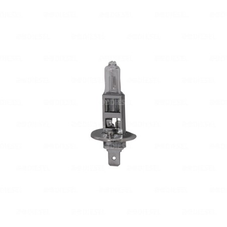 FOCO H1 12V 55W P145S