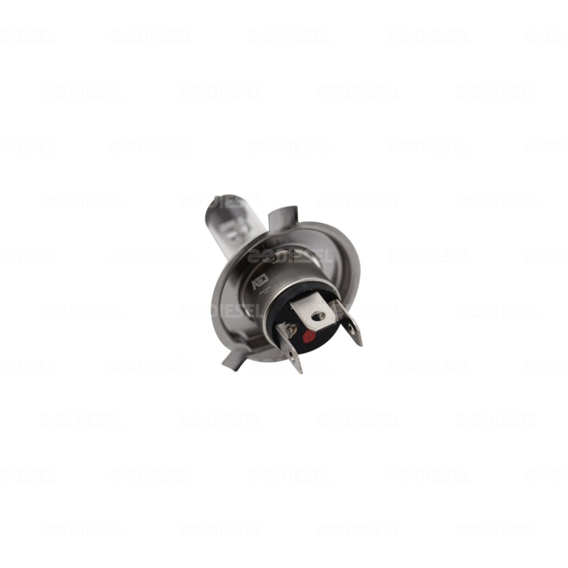 FOCO H4 24V 75W/70W P43T 13342