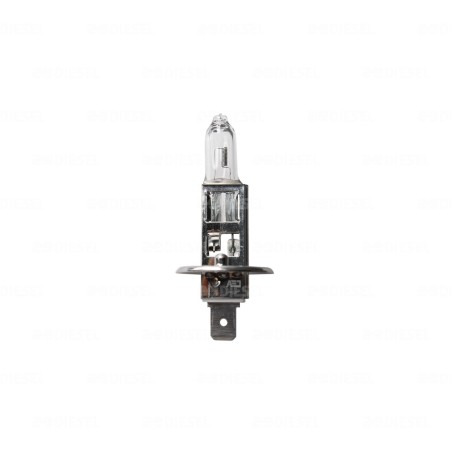 FOCO H1 12V 100W P145S