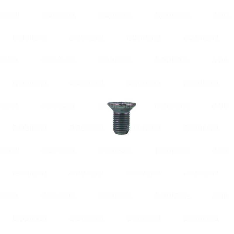 TORNILLO 40/41/42MT PARA NÚCLEO 1968396 CRUZ