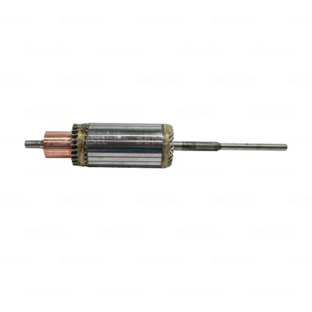 ARMADURA 50MT 24V 1945840 CORTA