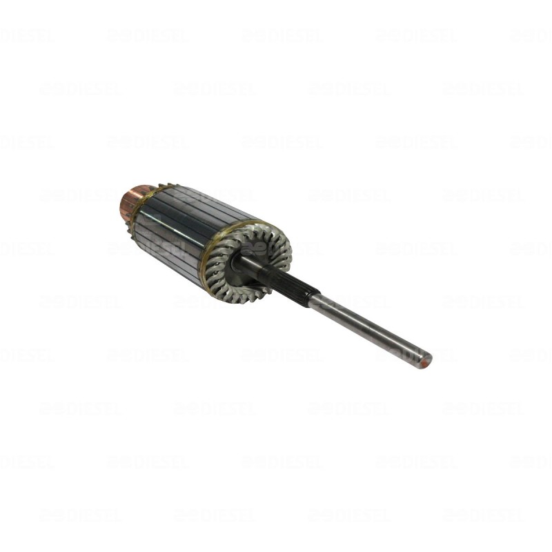 ARMADURA 50MT 24V 1945840 CORTA