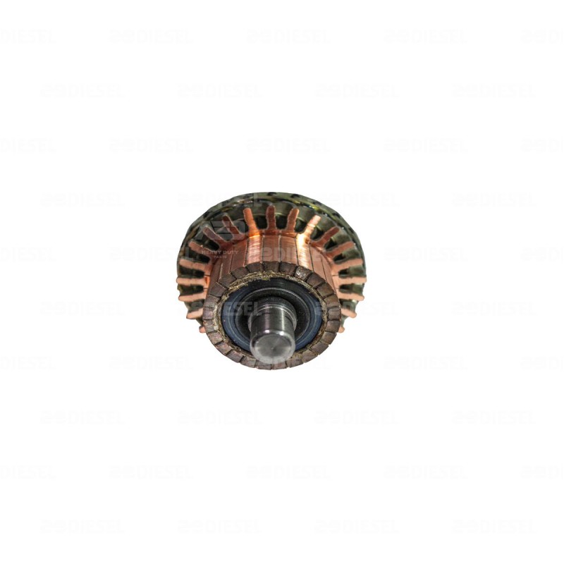 ARMADURA 50MT 24V 1945840 CORTA