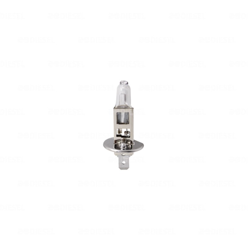 FOCO H1 12V 55W 12258