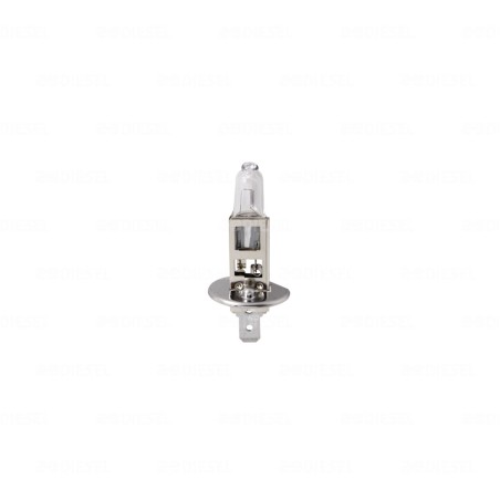 FOCO H1 12V 55W 12258