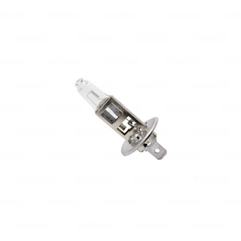 FOCO H1 12V 55W 12258