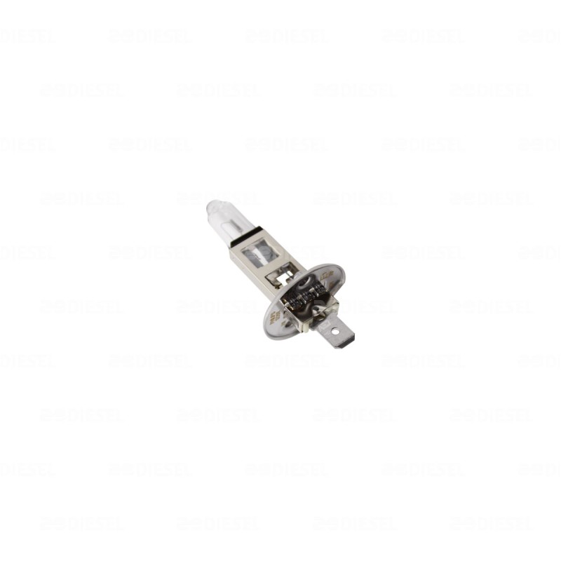 FOCO H1 12V 55W 12258