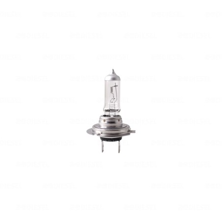 FOCO H7 24V 70W LARGA VIDA