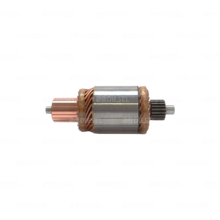 ARMADURA 24V 39MT 10539043P-10511750