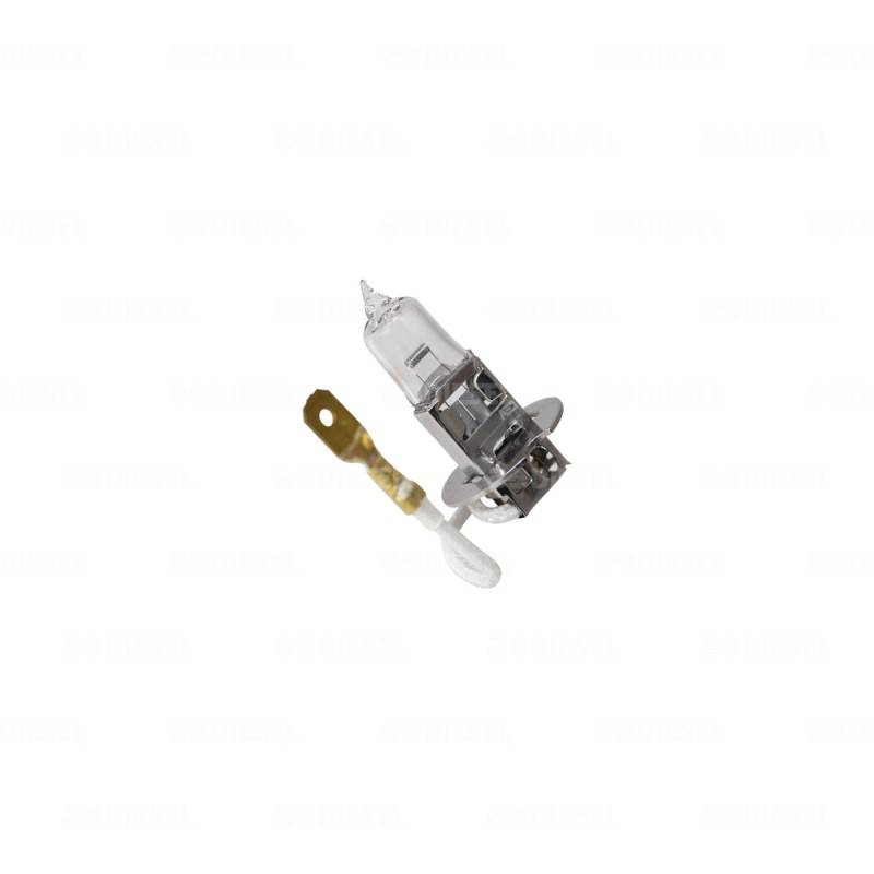 FOCO H3 12V 55W 12336