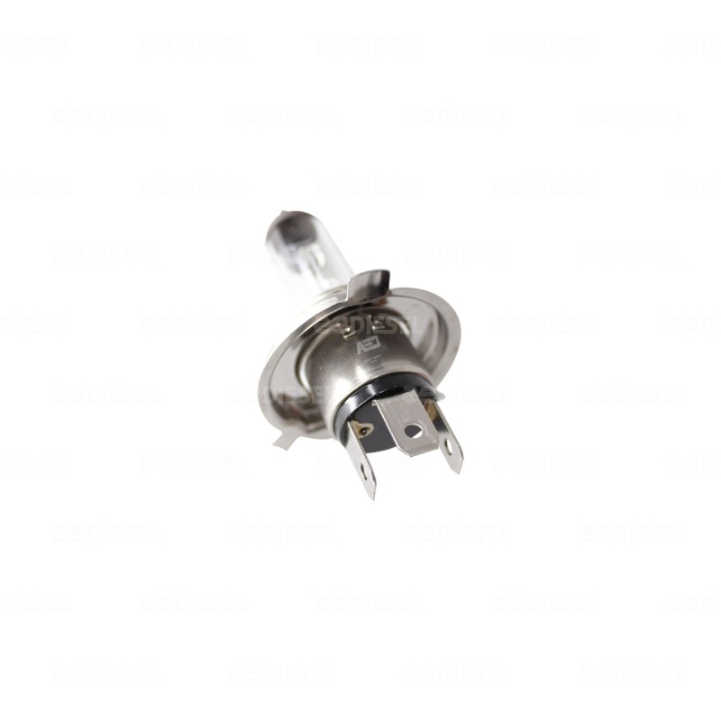 FOCO H4 12V 60W/55W P43T 38 BLANCO