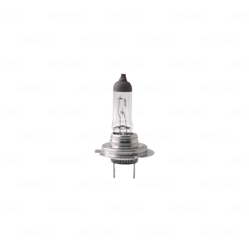 FOCO H7 12V 55W 12972