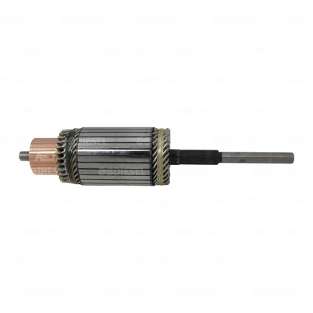 ARMADURA 41MT 12V 10473852