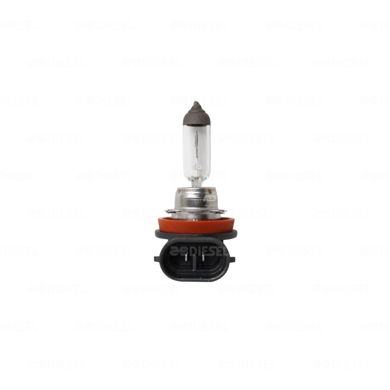 FOCO H11 12V 55W PGJ19-2