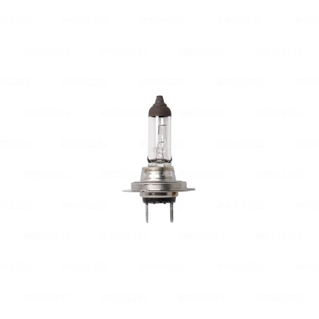 FOCO H7 12V 55W PX26D BLANCO