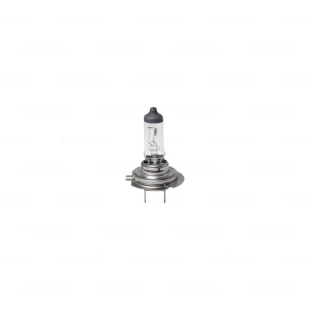 FOCO H7 24V 70W 13972
