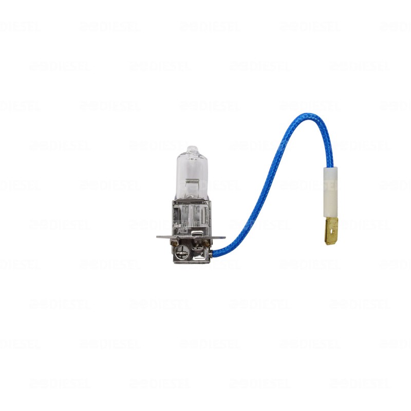 FOCO H3 12V 100W BASE PK22S