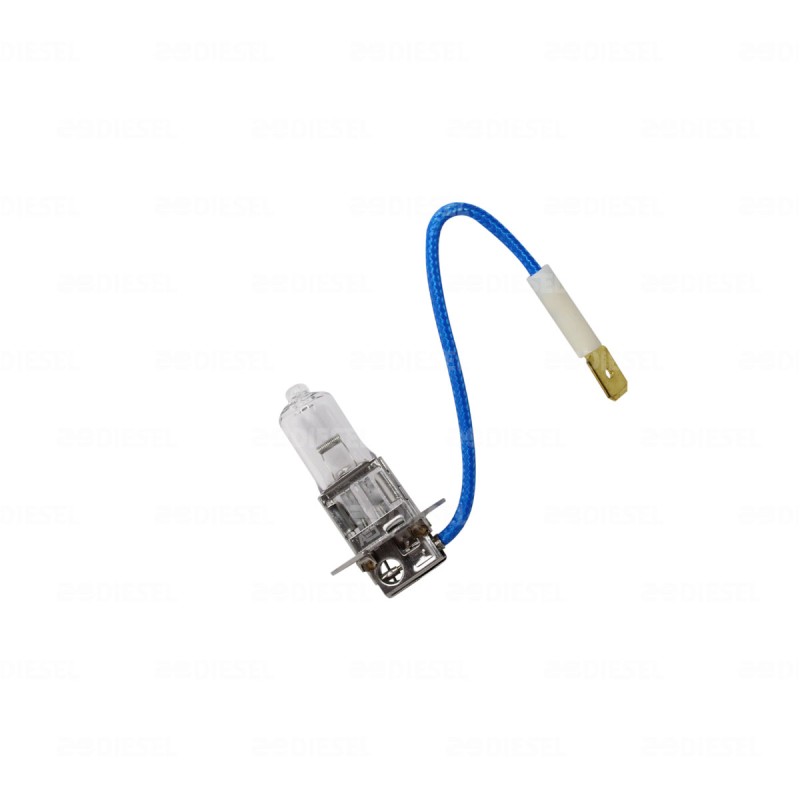 FOCO H3 12V 100W BASE PK22S