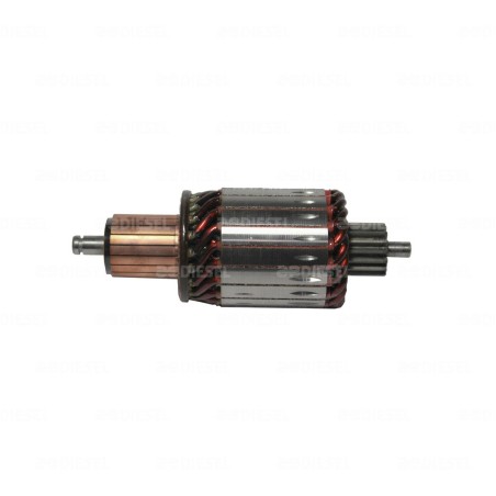 ARMADURA 12V ECOPOW 6033AD3242