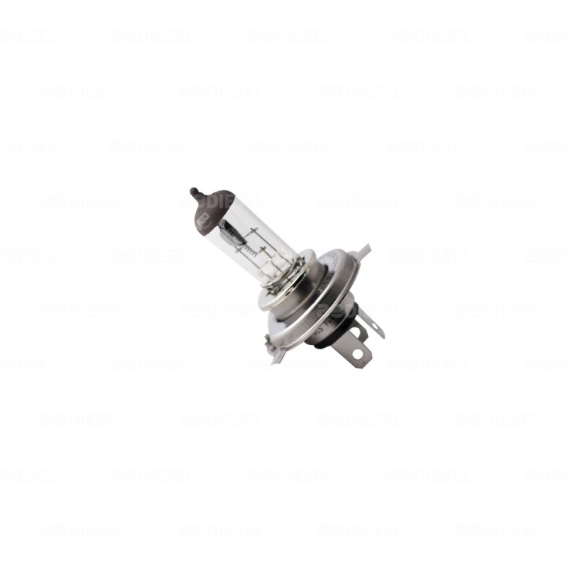 FOCO H4 24V 75W/70W P43T 13342
