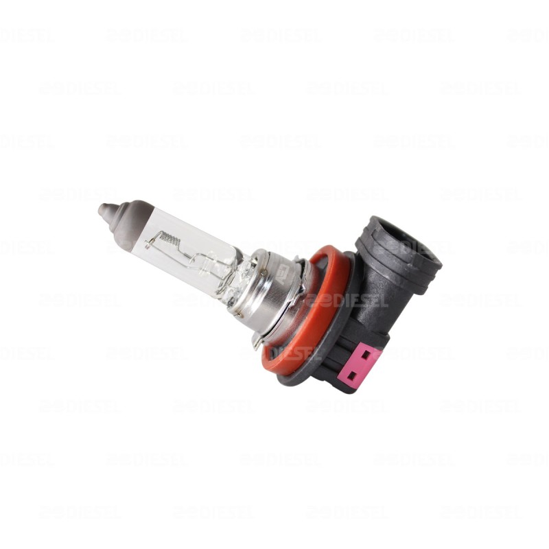 FOCO H11 24V 70W