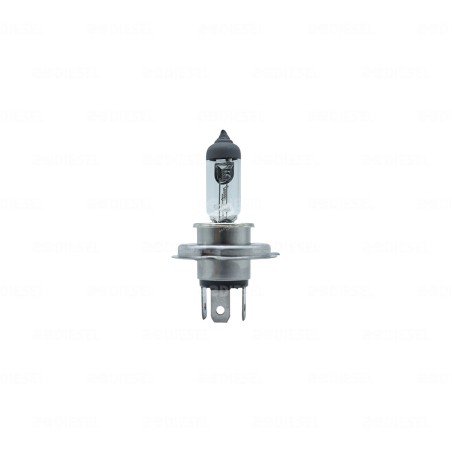 FOCO H4 24V 75W/70W P43T ST