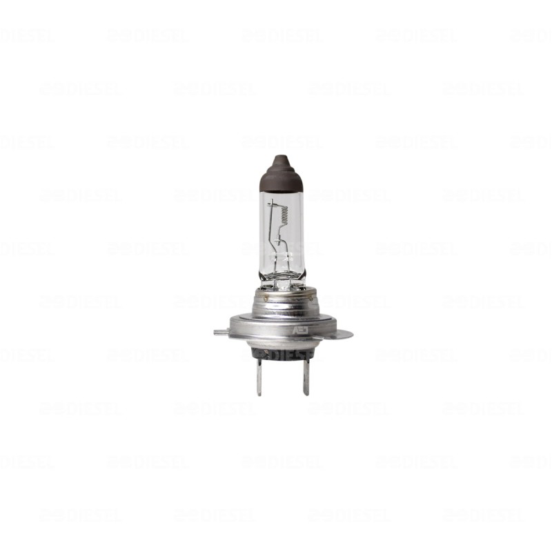 FOCO H7 24V 70W PX26D