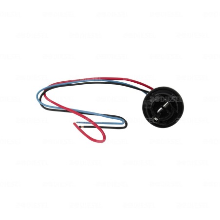SOCKET 2 POLOS NEGRO P/F 1034 V7550-9700