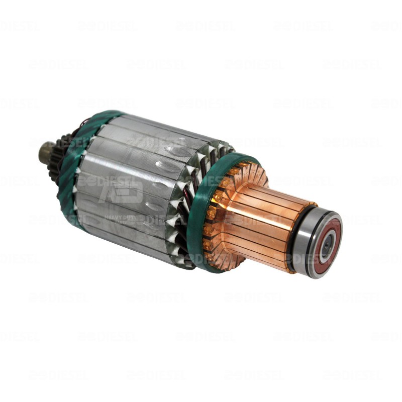 ARMADURA 12V 39MT 61007734