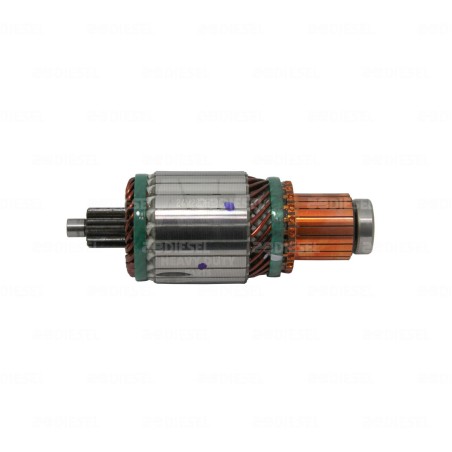 ARMADURA 24V 29MT 10515834