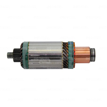 ARMADURA 12V 38MT 10511844