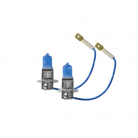 FOCO H3 12V 55W PREMIUM LLDB+50% BLISTER