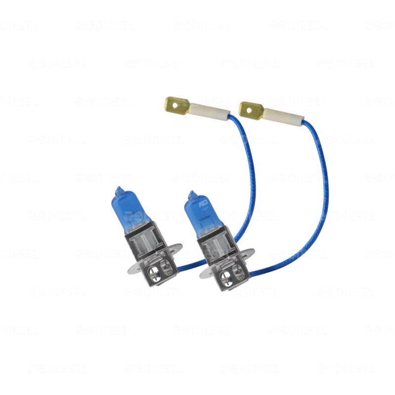 FOCO H3 12V 55W PREMIUM LLDB+50% BLISTER