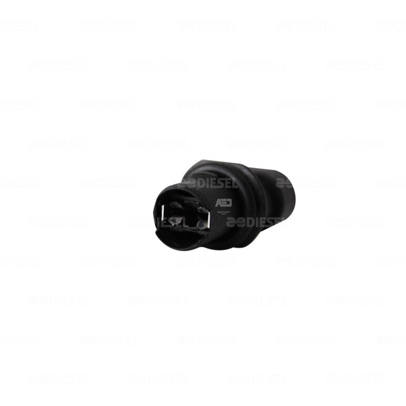 SOCKET PARA UNIDAD VIGIA