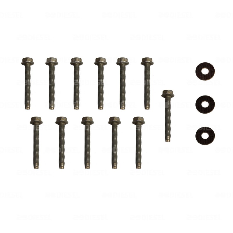 ESTATOR 24V 50DN 10502989