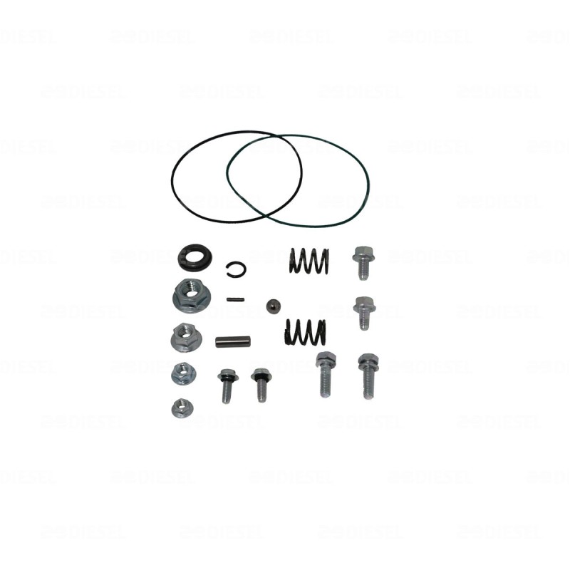 KIT 29MT REP TORNILLERIA 10526608