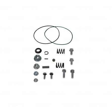 KIT 29MT REP TORNILLERIA 10526608