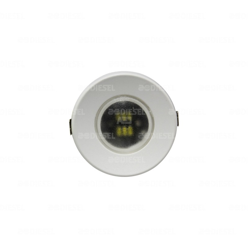 LÁMPARA 24V 55mm OPE INTER L/BLANCO B/BLANCO