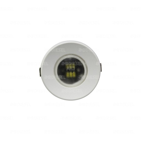 LÁMPARA 24V 55mm OPE INTER L/BLANCO B/BLANCO