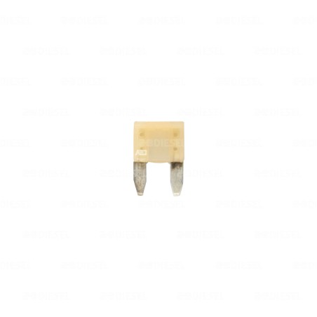 FUSIBLE 25A MINI CLARO
