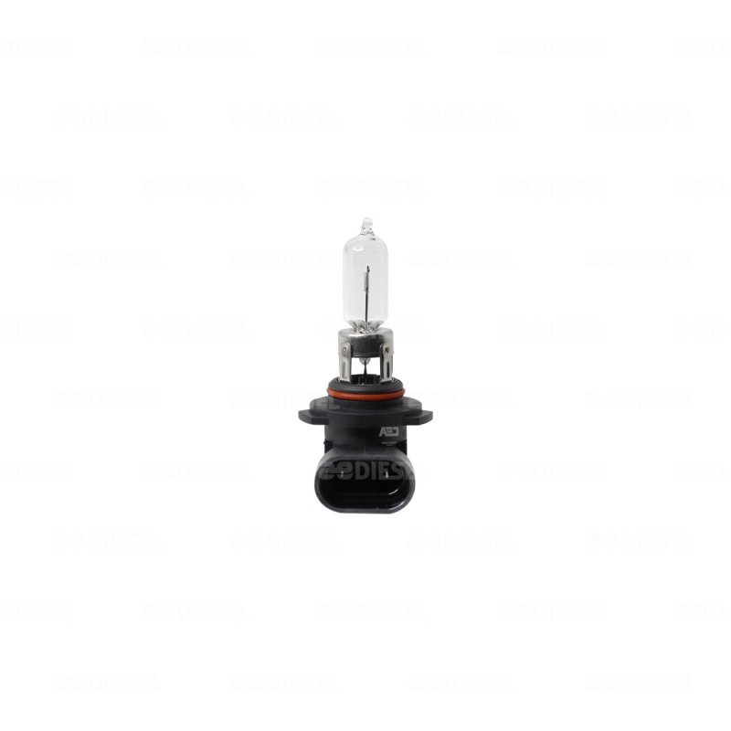 FOCO 9005 12V 60W HB3U P20d