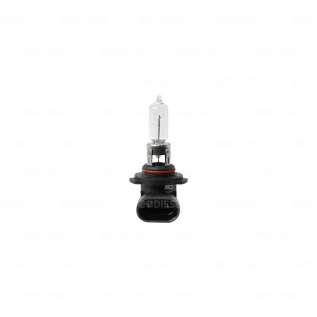 FOCO 9005 12V 60W HB3U P20d