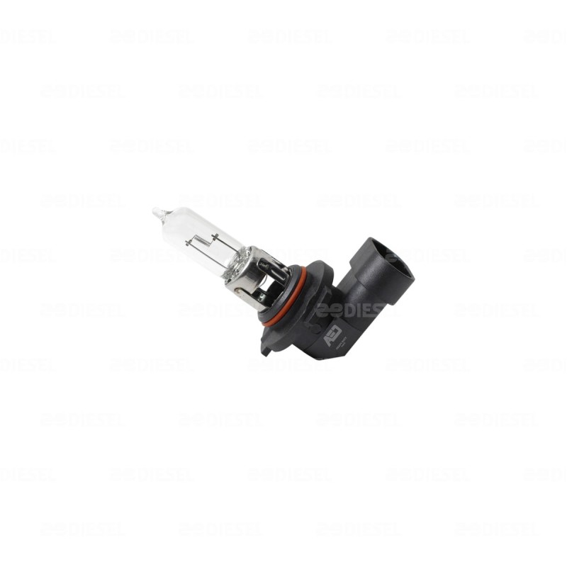 FOCO 9005 12V 60W HB3U P20d