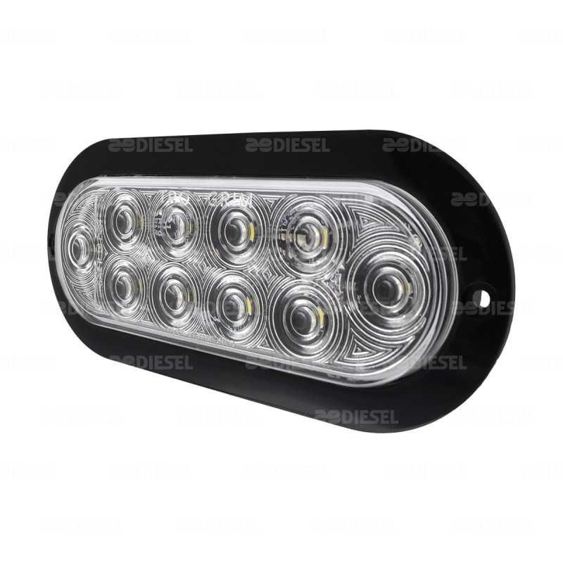 PLAFÓN 12/24V 10 LED OVALADO BLANCO NEGRO ALTA/BAJA/FIJA